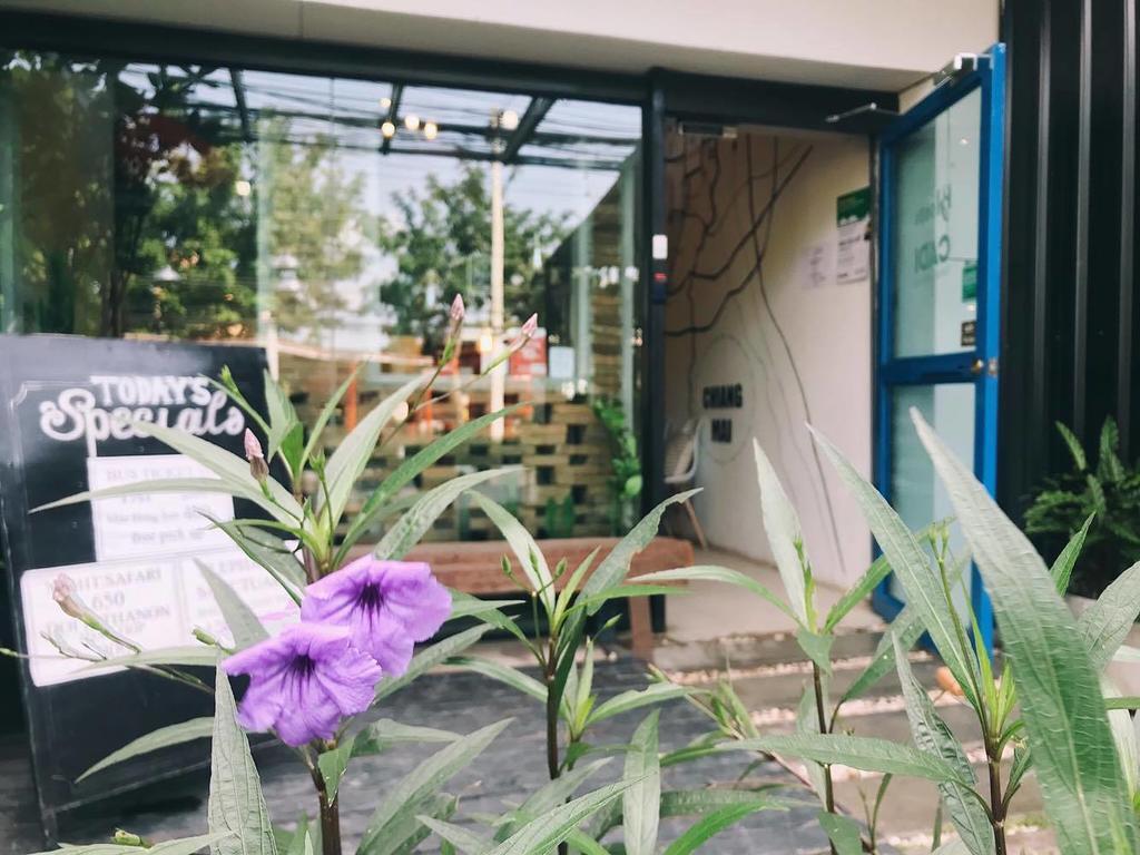 Bloomz Hostel Chiang Mai Eksteriør billede